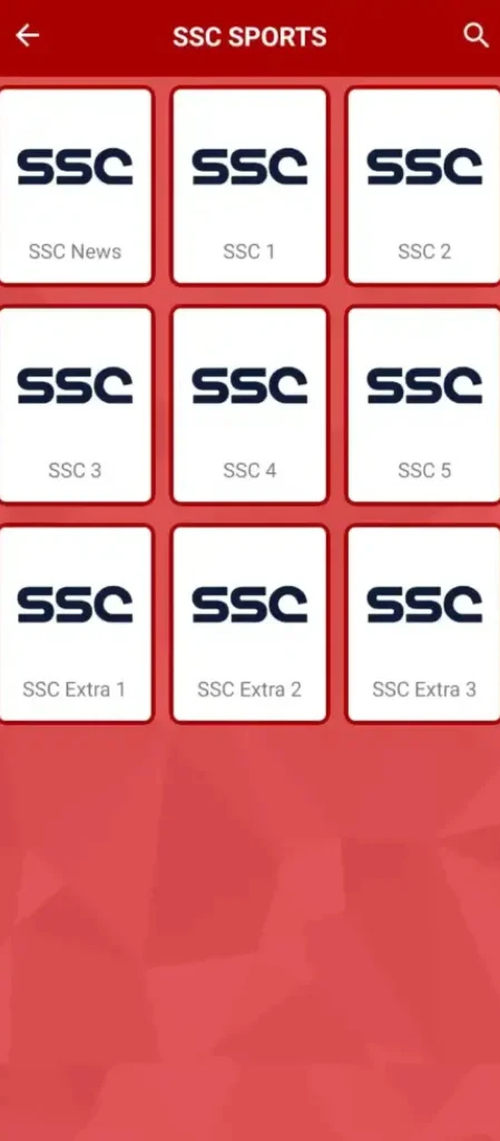 Yacine TV APK Screen 5